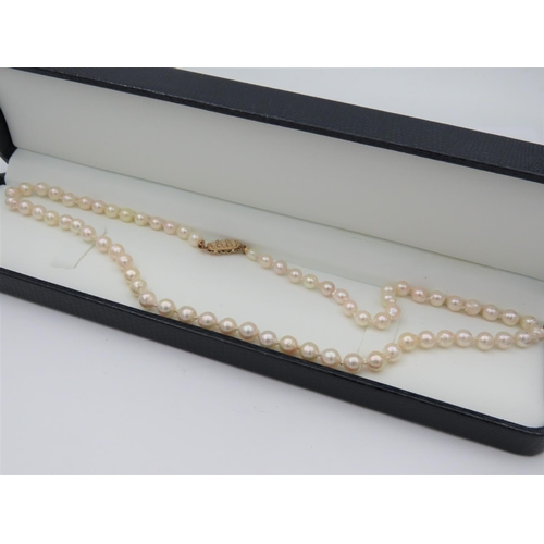 34 - Ladies Pearl Necklace of Attractive Hue with 9 Carat Yellow Gold Clasp