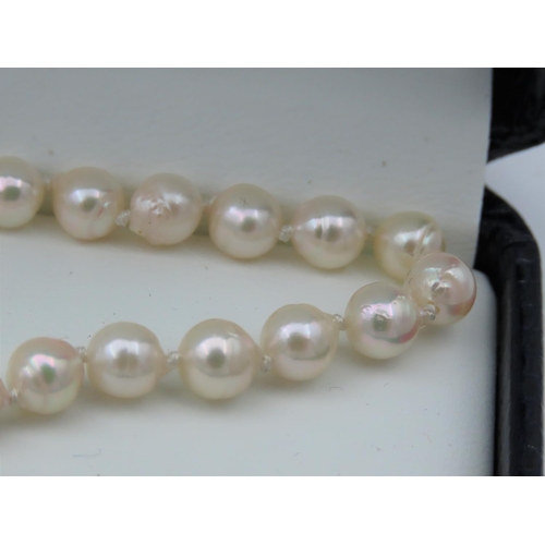34 - Ladies Pearl Necklace of Attractive Hue with 9 Carat Yellow Gold Clasp