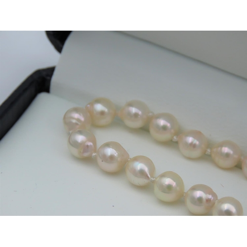 34 - Ladies Pearl Necklace of Attractive Hue with 9 Carat Yellow Gold Clasp
