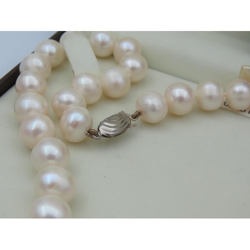 4 - Simulated Pearl Ladies Necklace with Silver Clasp Contained within Original Presentation Box