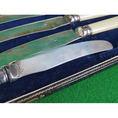 420 - Cased Set of Six Butter Knives Hallmarked 1931 Maker William Needham