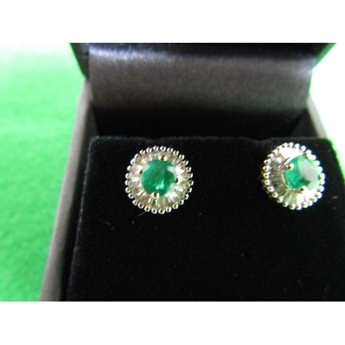 477 - Pair of 9 Carat Gold Emerald and Diamond Cluster Earrings Emeralds of Attractive Colour