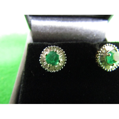 477 - Pair of 9 Carat Gold Emerald and Diamond Cluster Earrings Emeralds of Attractive Colour