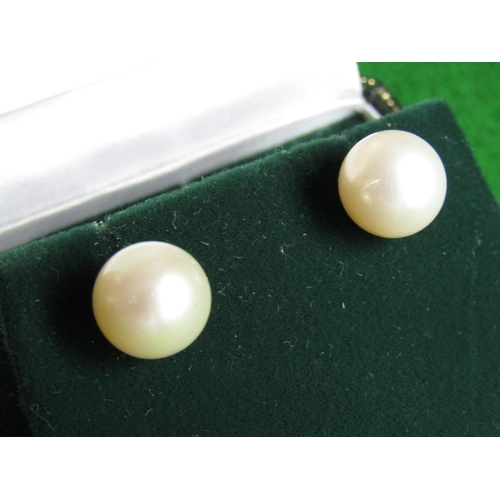 491 - Pair of Pearl Stud Earrings Mounted on 14 Carat Gold