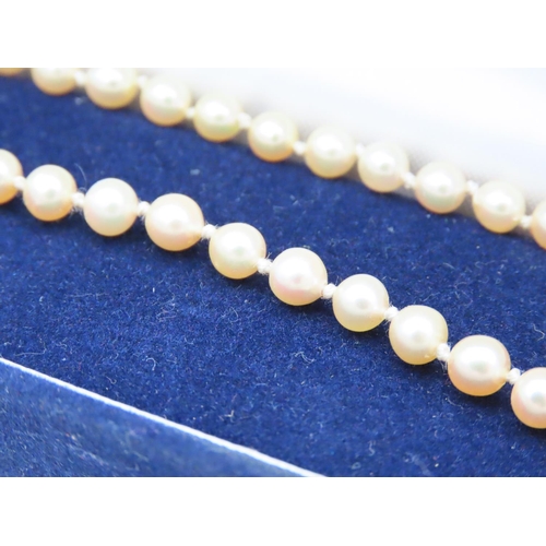 54 - Pearl Necklace with 9 Carat Yellow Gold Barrel Form Clasp
