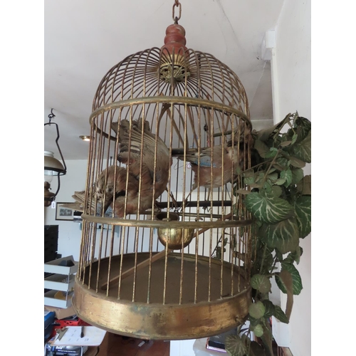 1132 - Vintage Brass Ceiling Hanging Bird Cage with Pair of Taxidermy Exotic Birds Approximately 35 Inches ... 