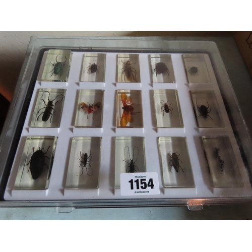 1154 - Another Collection of Insects Encapsulated in Perspex Contained in Display Case