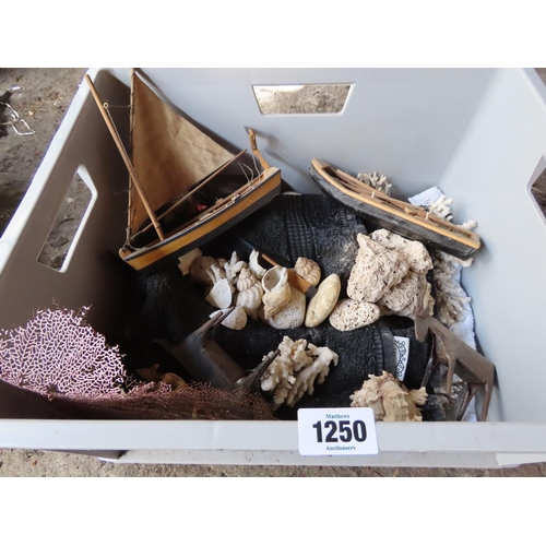 1250 - Crate Containing Coral, Seashells and Various Other Items As Photographed