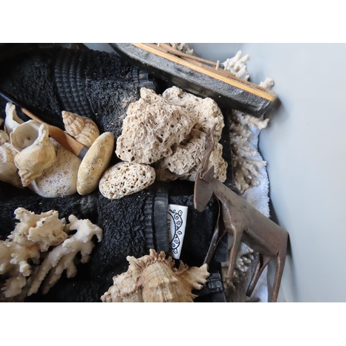 1250 - Crate Containing Coral, Seashells and Various Other Items As Photographed