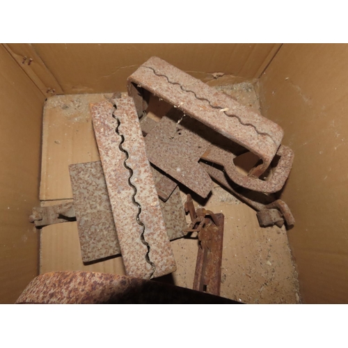 1451 - Box Containing Three Large Antique Traps Including One Man Or Bear Trap