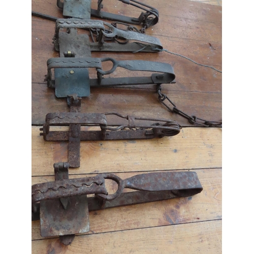 196 - Set of Five Vintage and Antique Steel Traps Each Approximately 10 Inches Long