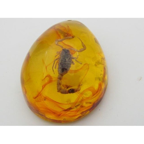 273 - Taxidermy Scorpion Encased in Amber Like Fluid