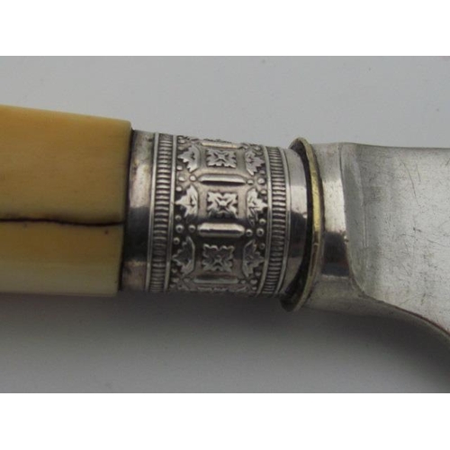 594 - Silver Cake Knife with Ivory Handle Approximately One Hundred Years Old in Good Condition