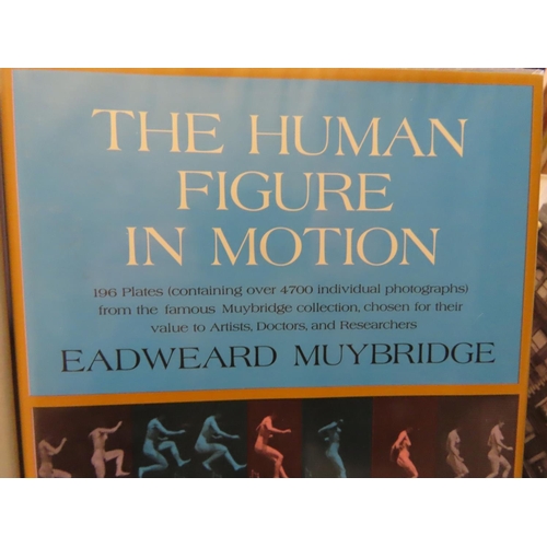 681 - Two Volumes by Eadweard Muybridge