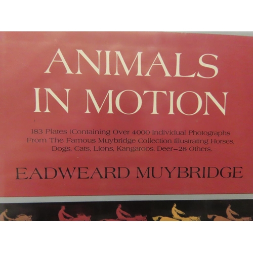 681 - Two Volumes by Eadweard Muybridge