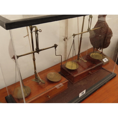 73 - Pair of Antique Coin Scales on Mahogany Bases Contained within Perspex Display Case 24 Inches Wide x... 