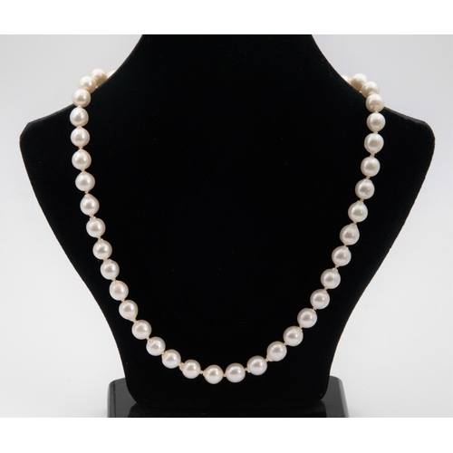 66 - Single Row Uniform Cultured Pearl Necklace 45 Cultured Pearls Each Approximately 7.3mm to 7.7mm Diam... 