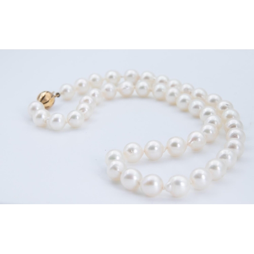 66 - Single Row Uniform Cultured Pearl Necklace 45 Cultured Pearls Each Approximately 7.3mm to 7.7mm Diam... 