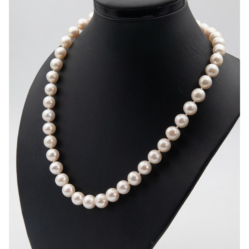 72 - Cultured Freshwater Pearl Ladies Necklace Each Pearl Approximately 9.5 mm Diameter Strong Knotted to... 