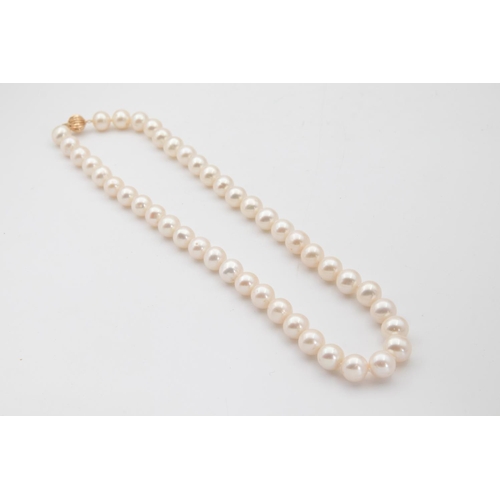 72 - Cultured Freshwater Pearl Ladies Necklace Each Pearl Approximately 9.5 mm Diameter Strong Knotted to... 