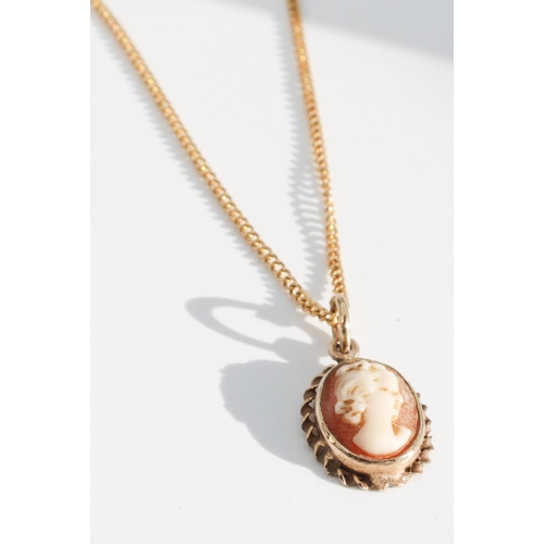 204 - 9 Carat Yellow Gold Ladies Cameo Pendant Necklace