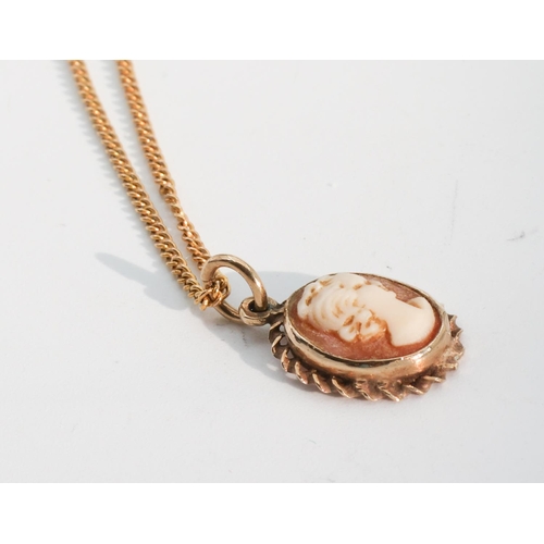 204 - 9 Carat Yellow Gold Ladies Cameo Pendant Necklace