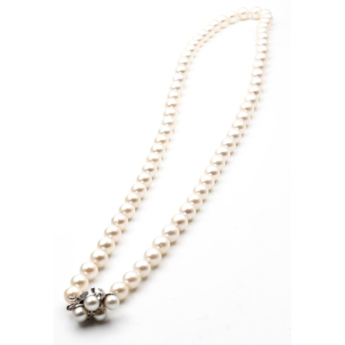 340 - 18 Carat Gold Clasp Pearl Necklace Single Strand