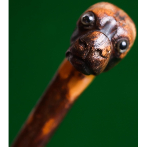 3 - Carved Walking Stick Walnut with Canine Motif Handle Full Size