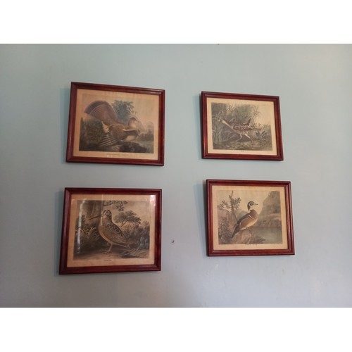 675 - Set of Four Antique Prints Game Birds Each 8 Inches High x 10 Inches Wide Approximately Framed