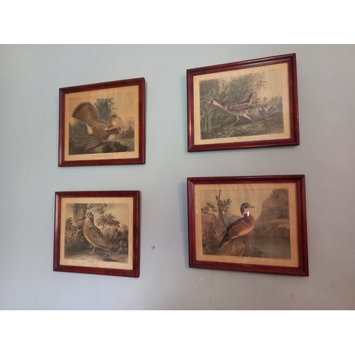 675 - Set of Four Antique Prints Game Birds Each 8 Inches High x 10 Inches Wide Approximately Framed