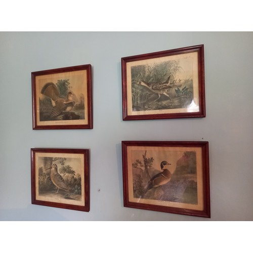 675 - Set of Four Antique Prints Game Birds Each 8 Inches High x 10 Inches Wide Approximately Framed