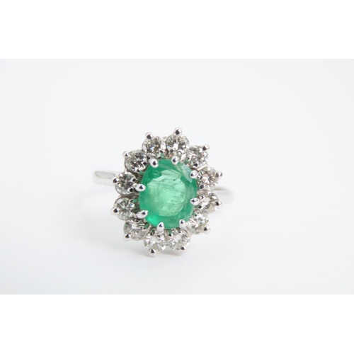 105 - Emerald and Diamond Ladies Cluster Ring Mounted on 18 Carat White Gold Band Ring Size Q