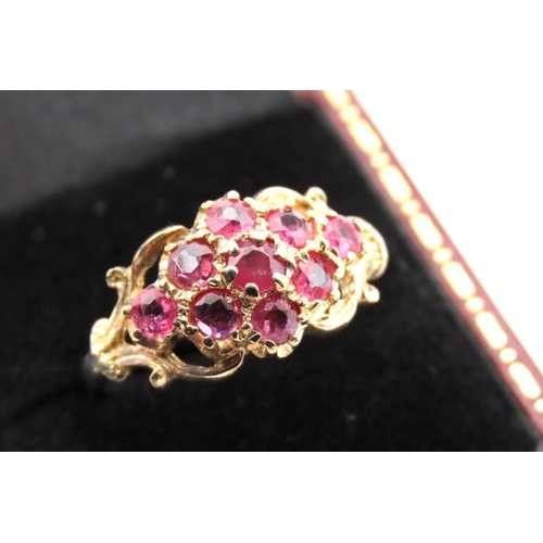 66 - Ruby Set Ladies 9 Carat Yellow Gold Cluster Ring Size O and a Half