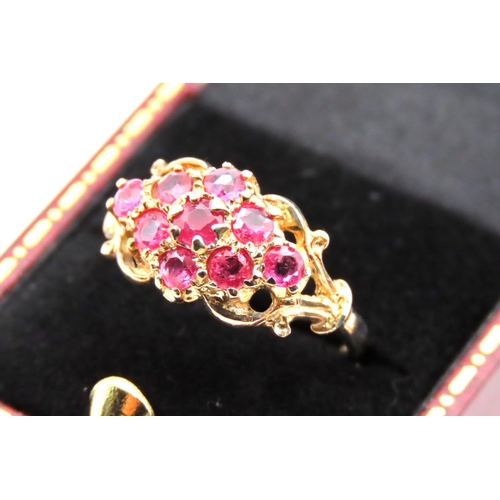 66 - Ruby Set Ladies 9 Carat Yellow Gold Cluster Ring Size O and a Half