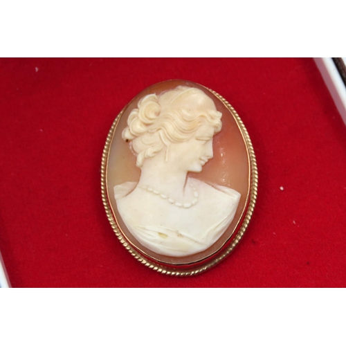 92 - 9 Carat Gold Mounted Ladies Cameo Brooch Approximately 4cm High