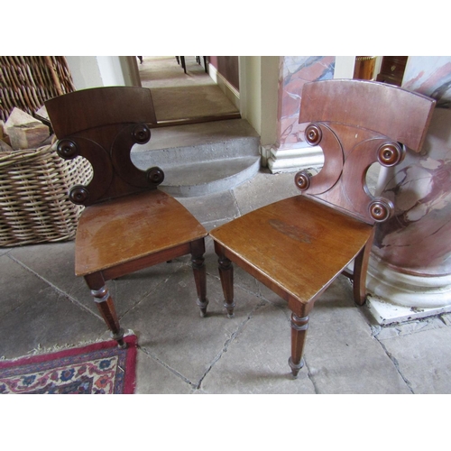 74 - Pair of Regency Hall Chairs Mahogany Well Carved Backs above Turned Supports