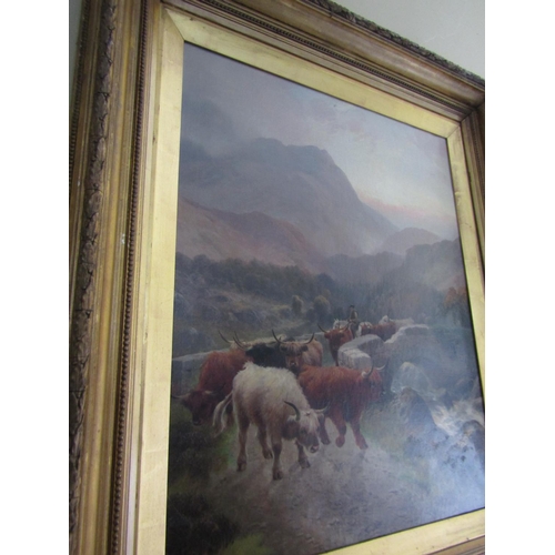 75 - Victorian Scottish School HR Hall Cattle Scene Highland Cattle with Mountains Beyond Oil on Canvas A... 