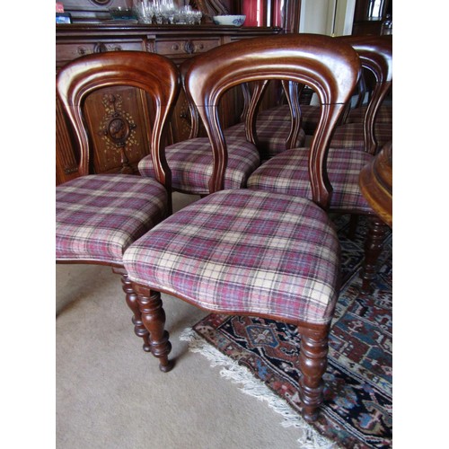 769 - Set of Eight Early Victorian Balloon Back Dining Chairs Plaid Tweed Upholstery above Turned Supports