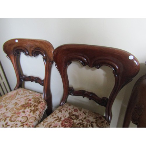 652 - Pair of William IV Mahogany Side Chairs Cabriole Supports Good Construction