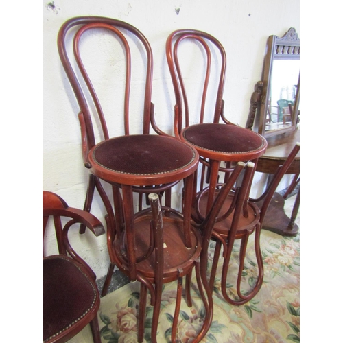 70 - Set of Eight Bentwood Armchairs Upholstered Seats includes Two Carvers