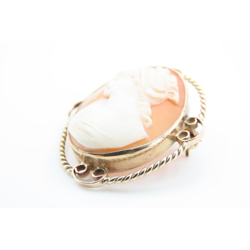 104 - Cameo Set Ladies Brooch Mounted on 9 Carat Yellow Gold