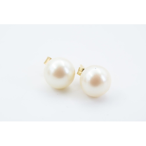 114 - Pair of Pearl Set Ladies Stud Earrings and Pair of 9 Carat Yellow Gold Earrings