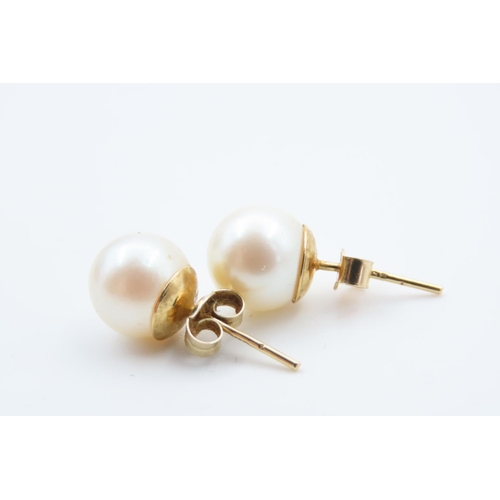 114 - Pair of Pearl Set Ladies Stud Earrings and Pair of 9 Carat Yellow Gold Earrings