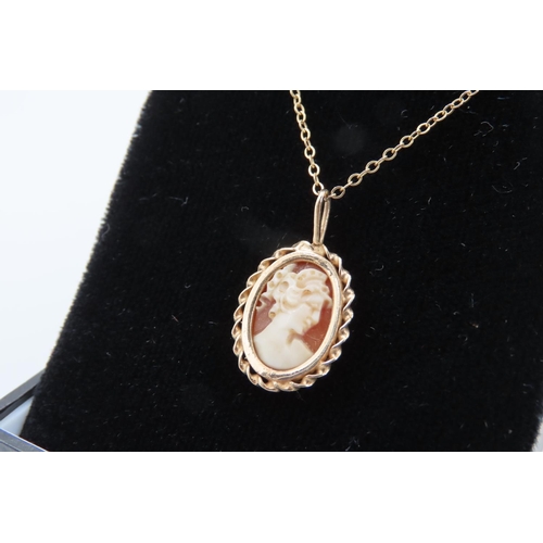 145 - 9 Carat Yellow Gold Mounted Cameo Pendant Necklace Mounted on 9 Carat Yellow Gold Chain 40cm