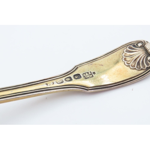 50 - Regency Gilded Silver Sugar Sifter Spoon Attractively Detailed 15cm Long