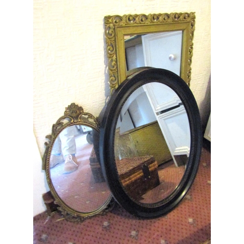 101 - Three Various Mirrors Including Oval Walnut Example Tallest Approximately 26 Inches High