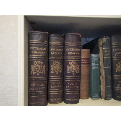 116 - Two Shelves of Various Leather Bound Antiquarian Volumes As Photographed