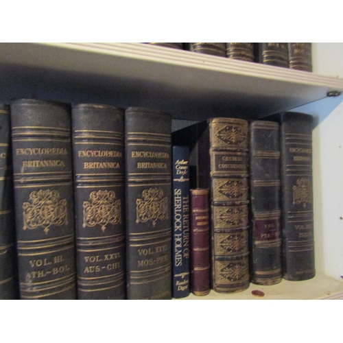 116 - Two Shelves of Various Leather Bound Antiquarian Volumes As Photographed