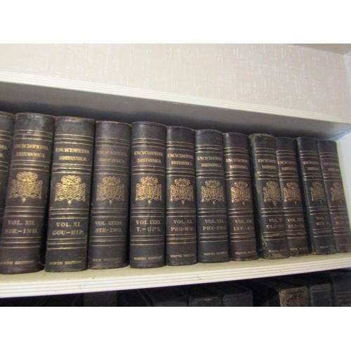 116 - Two Shelves of Various Leather Bound Antiquarian Volumes As Photographed