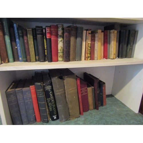 117 - Two Shelves of Various Antiquarian Volumes As Photographed